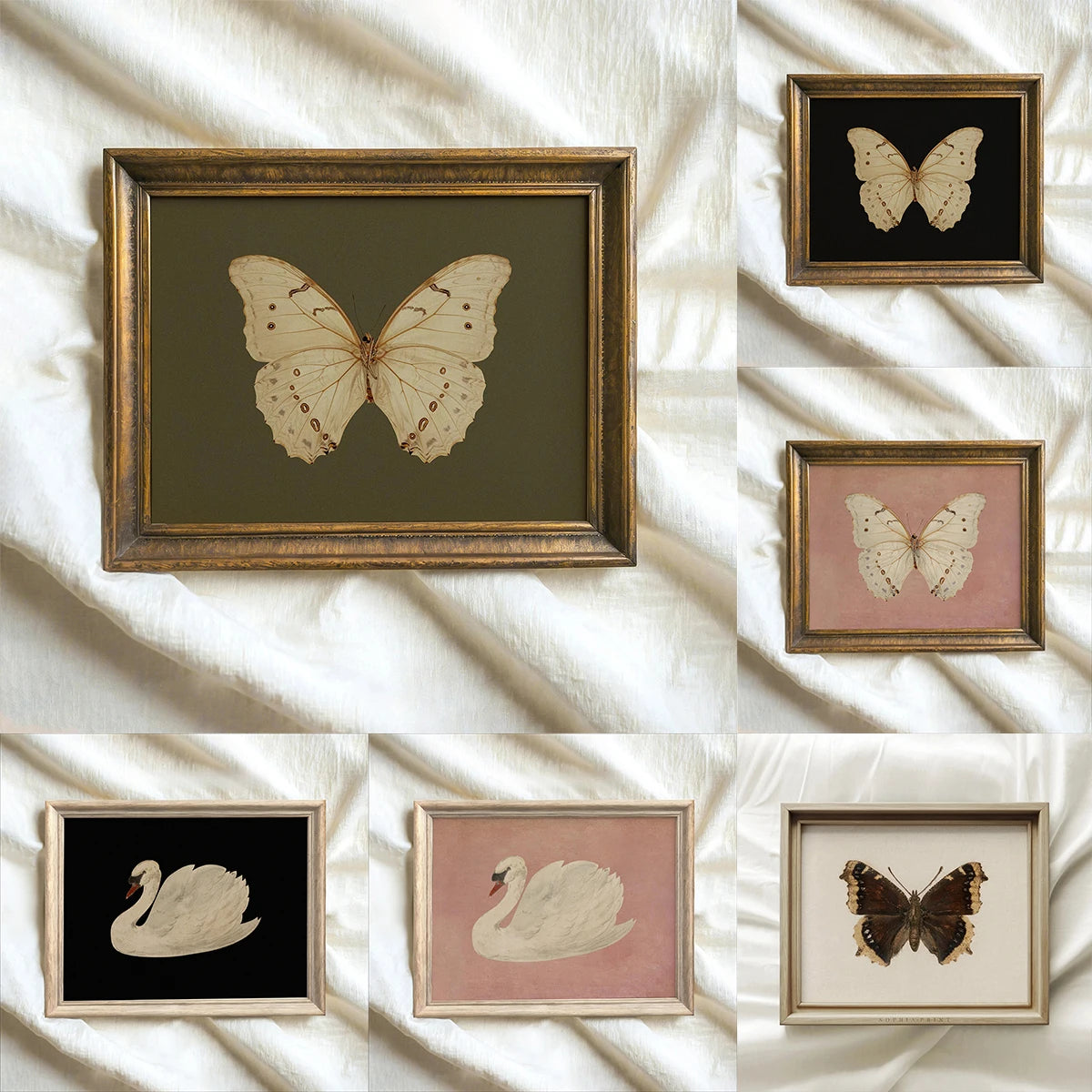 White Butterfly White Swan Animal Canvas Print Dark Moody Insect Antique Moth Wall Art Poster for Modern Living Room Home Decor